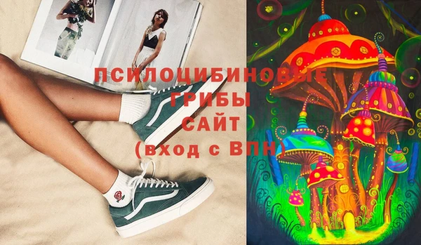 МДПВ Няндома