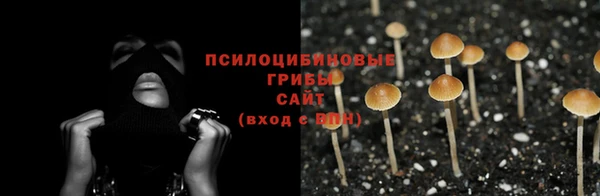 ECSTASY Алексеевка