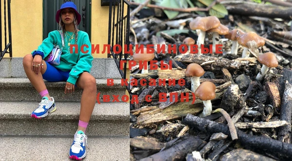 МДПВ Няндома