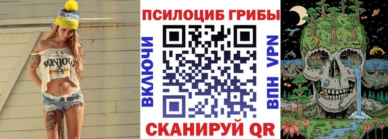 даркнет сайт  Сенгилей  Галлюциногенные грибы прущие грибы 